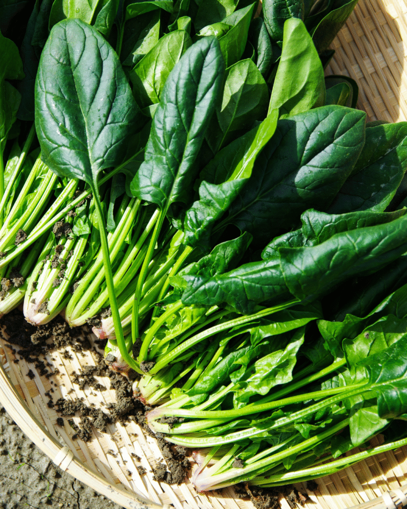 A bowl filled with fresh, dark green spinach and kale leaves, glistening with moisture.