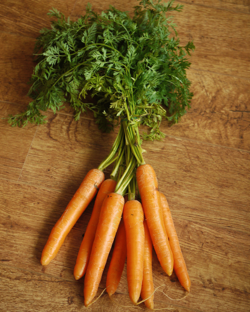 Fresh, bright orange carrots stacked together, showcasing their rich color and freshness